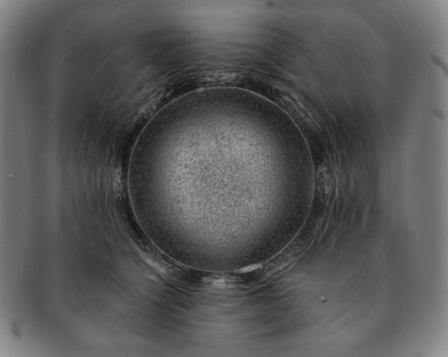 X0000091200564200708231533