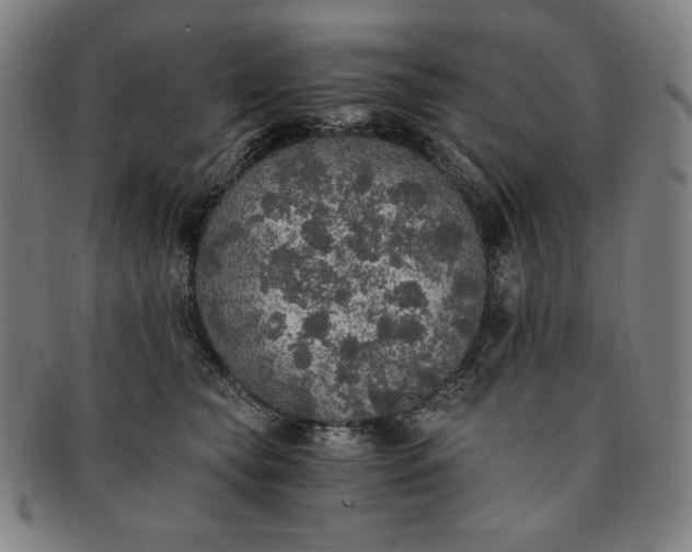 X0000091200565200708231533