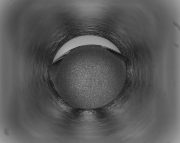 X0000091200566200708231533