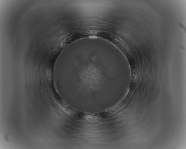 X0000091200568200708231533