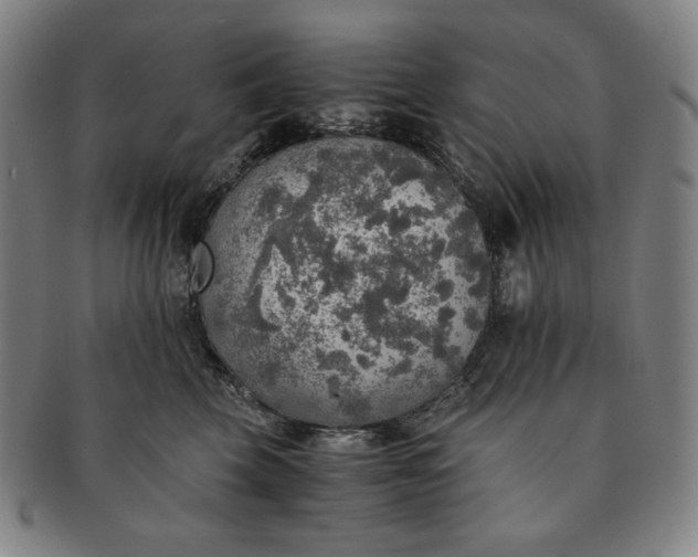 X0000091200569200708231533