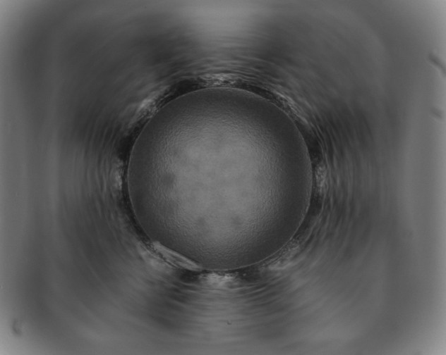 X0000091200570200708231533