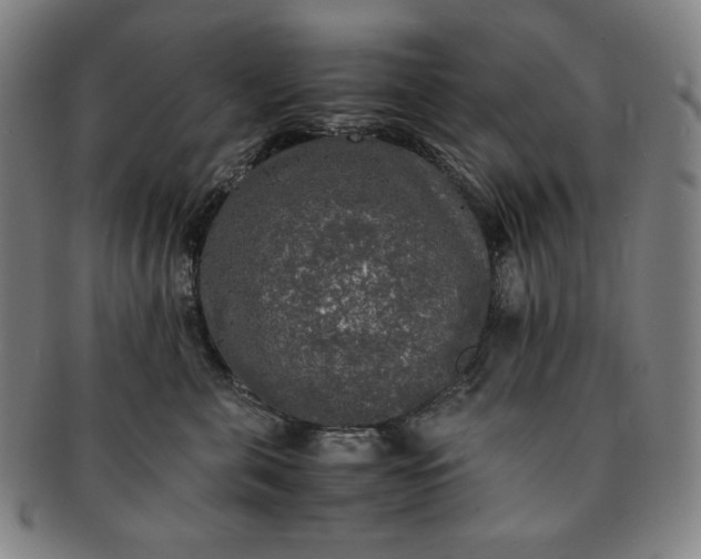 X0000091200571200708231533