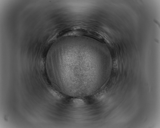 X0000091200572200708231533