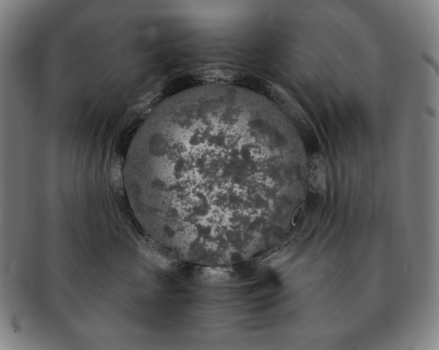 X0000091200573200708231533