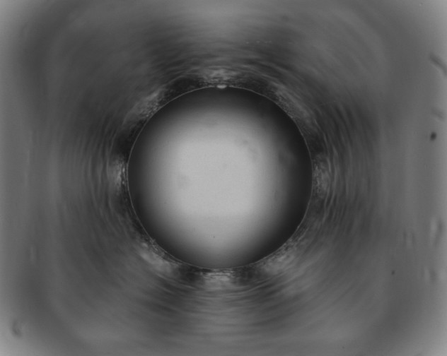 X0000091200574200708231533