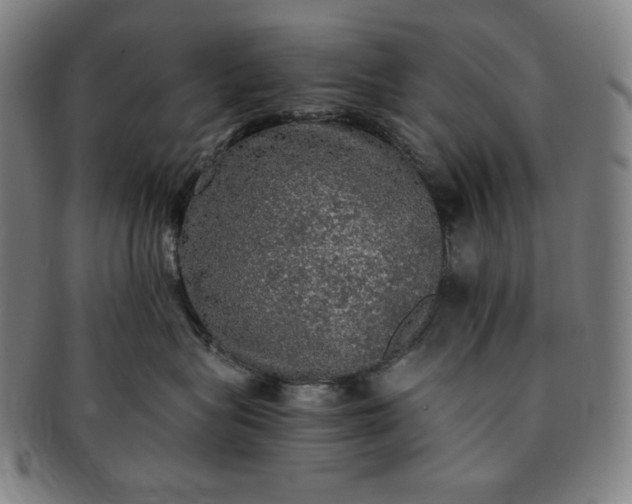 X0000091200575200708231533