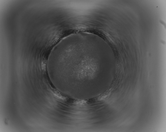 X0000091200576200708231533