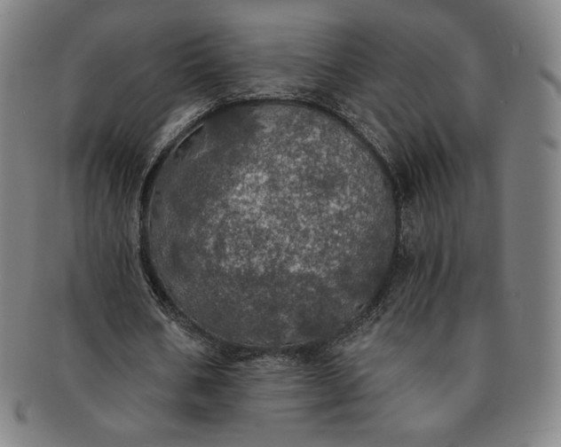 X0000091200578200708231532