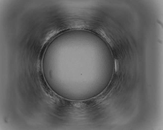 X0000091200579200708231532