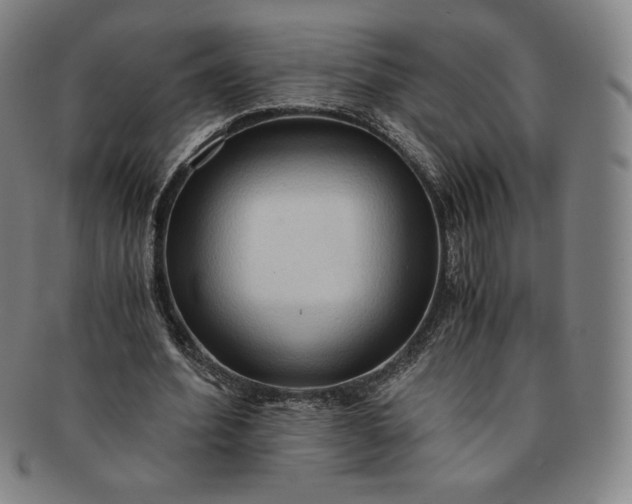 X0000091200580200708231532