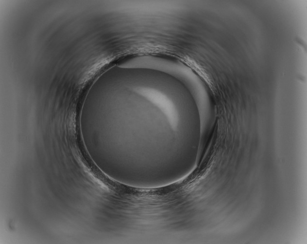 X0000091200581200708231532
