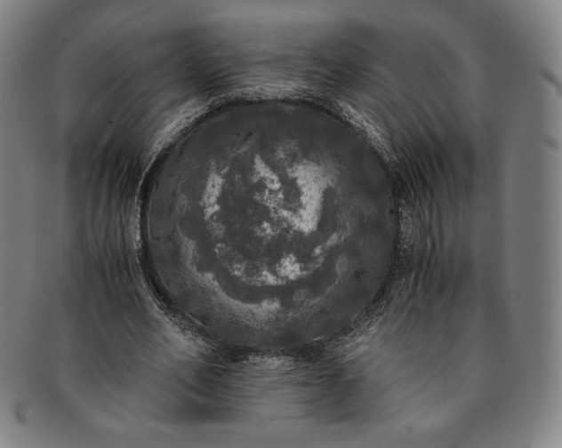 X0000091200582200708231532