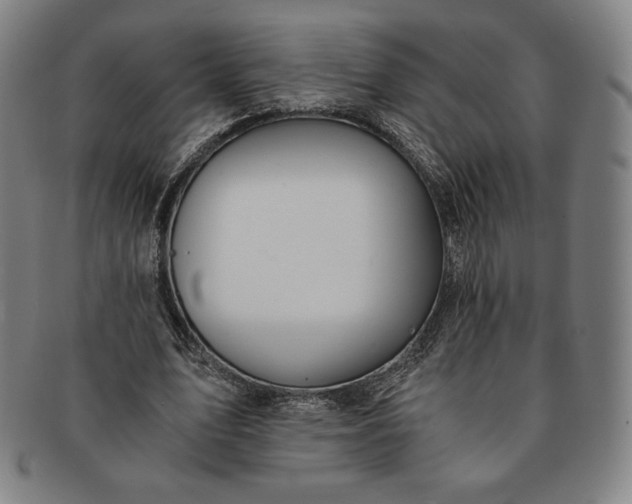 X0000091200583200708231532