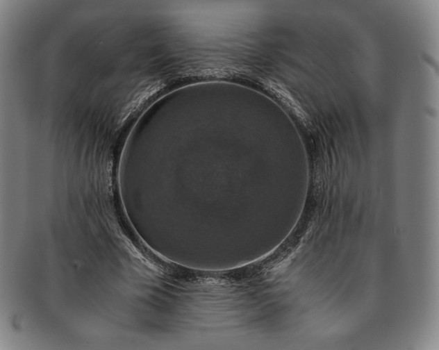 X0000091200585200708231532