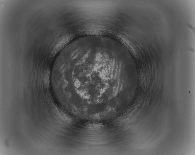 X0000091200586200708231532
