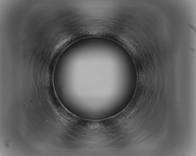 X0000091200587200708231532