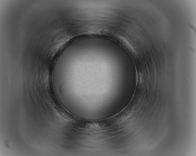 X0000091200588200708231532