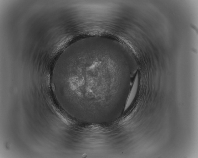 X0000091200589200708231532