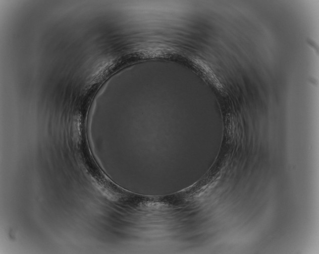 X0000091200590200708231532
