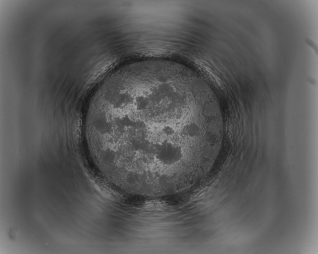 X0000091200591200708231532
