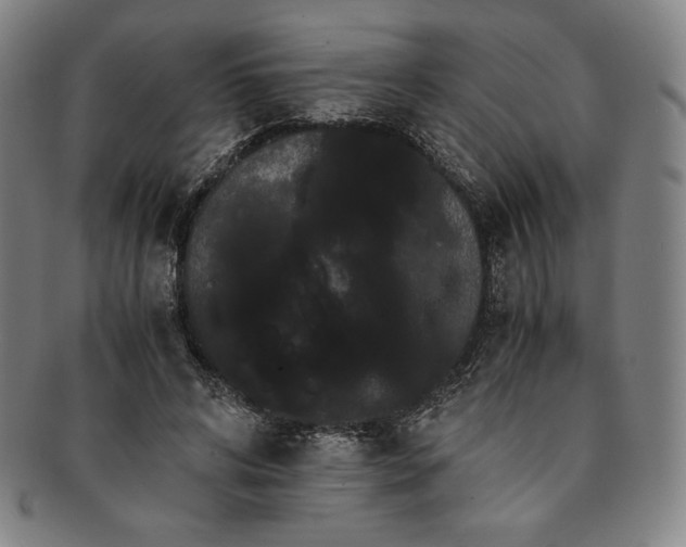 X0000091200592200708231532