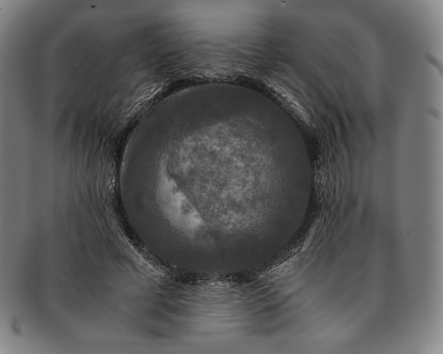 X0000091200593200708231532