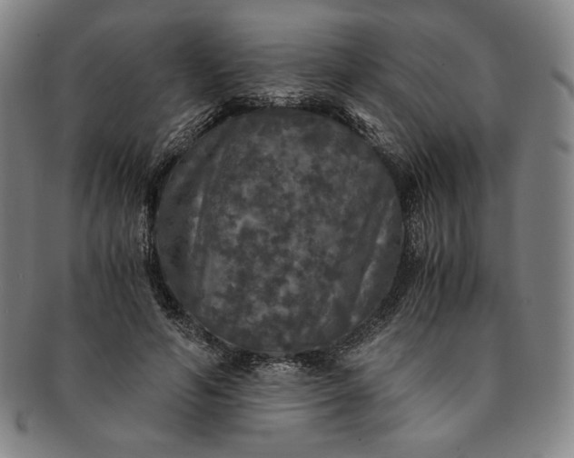 X0000091200594200708231532