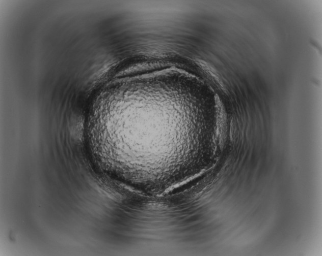 X0000091200596200708231532