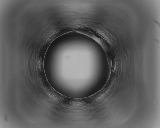 X0000091200597200708231532