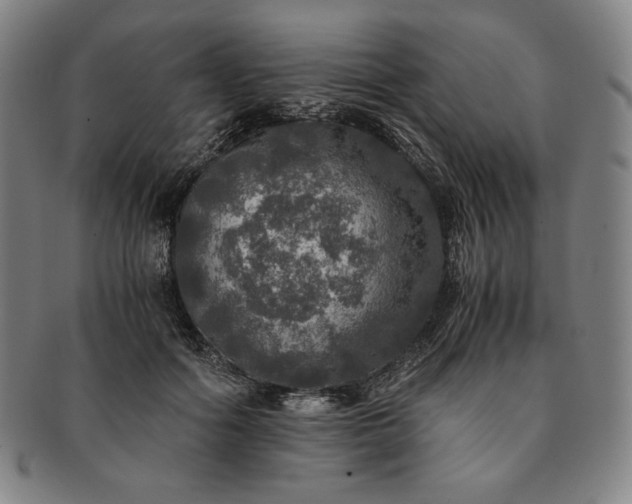 X0000091200602200708231532