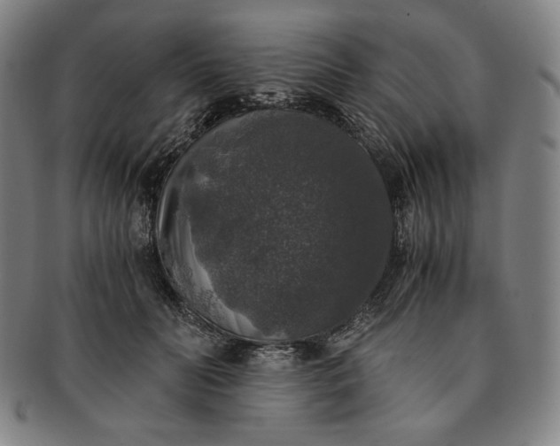 X0000091200606200708231532