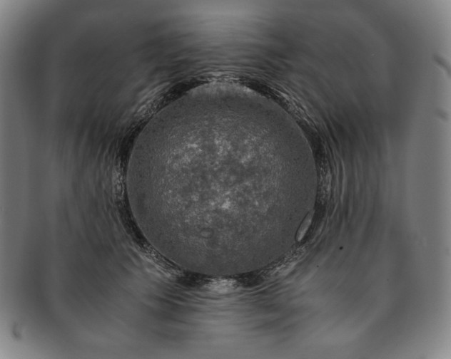 X0000091200609200708231532
