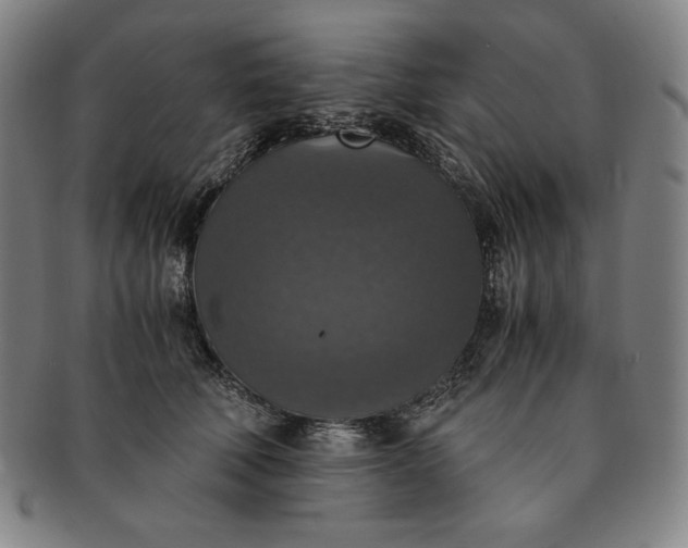 X0000091200610200708231532