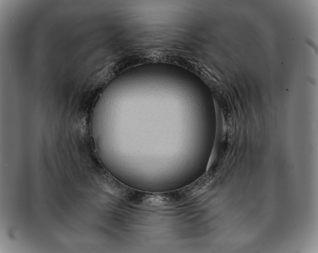 X0000091200611200708231532