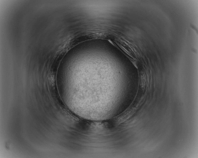 X0000091200613200708231532