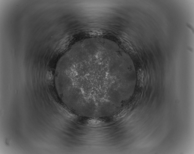 X0000091200614200708231532