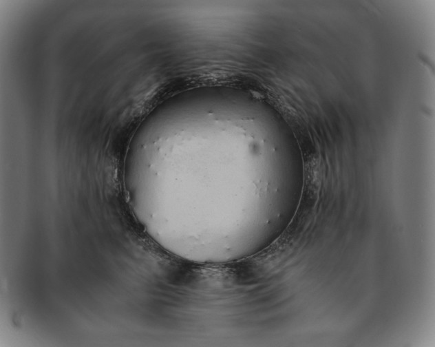 X0000091200615200708231532