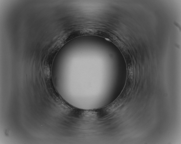 X0000091200617200708231532