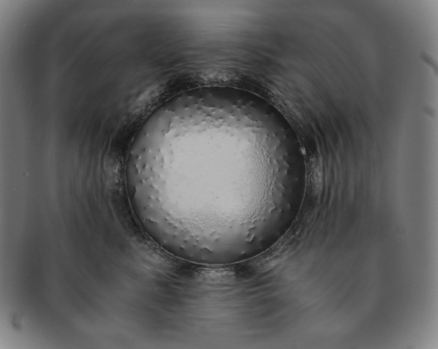 X0000091200619200708231532