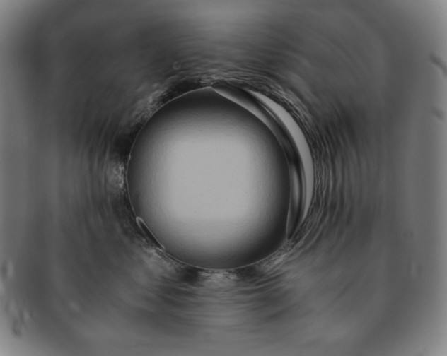 X0000091200621200708231532