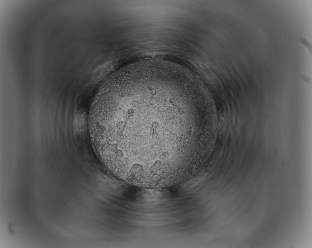 X0000091200623200708231532