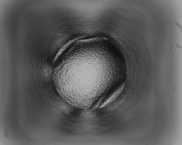 X0000091200624200708231532