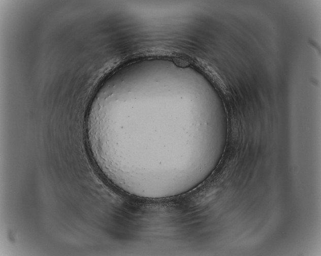 X0000091200625200708231531