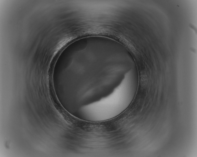 X0000091200626200708231531