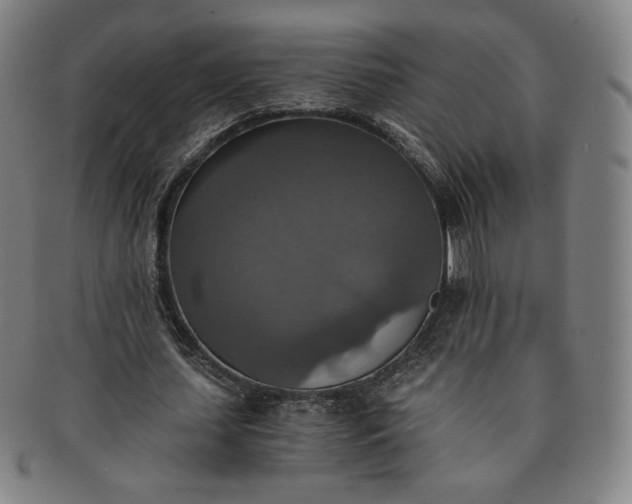X0000091200627200708231531