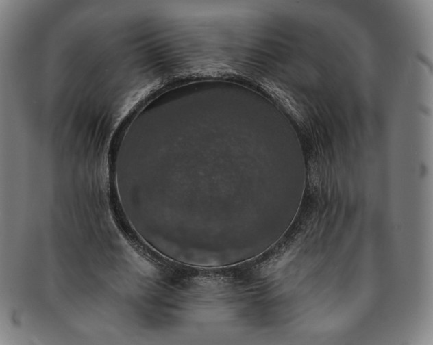 X0000091200630200708231531