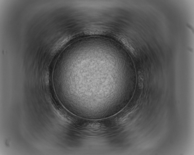 X0000091200631200708231531