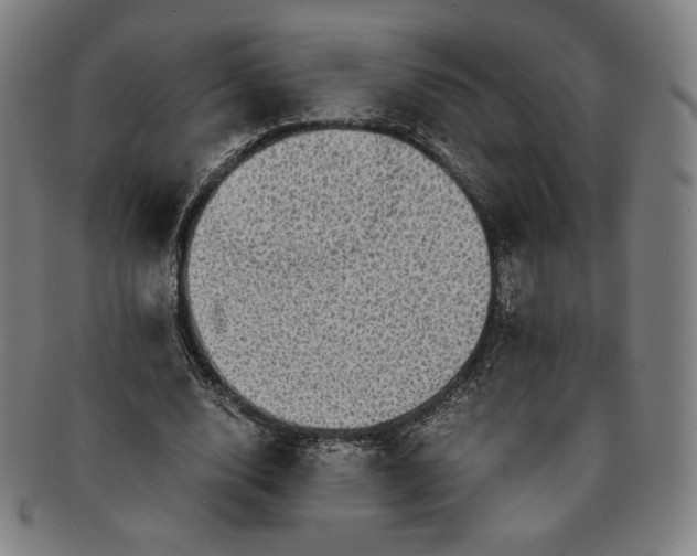 X0000091200632200708231531