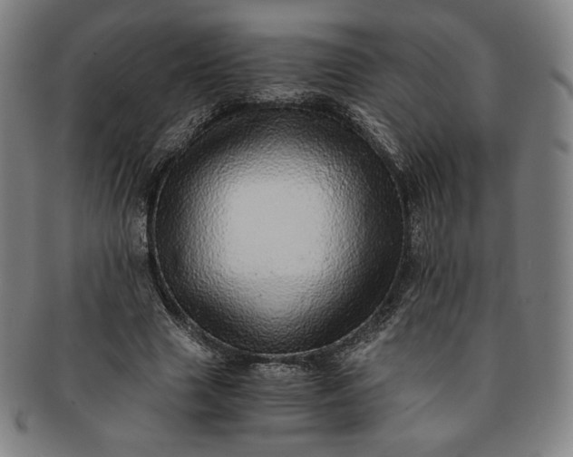 X0000091200633200708231531